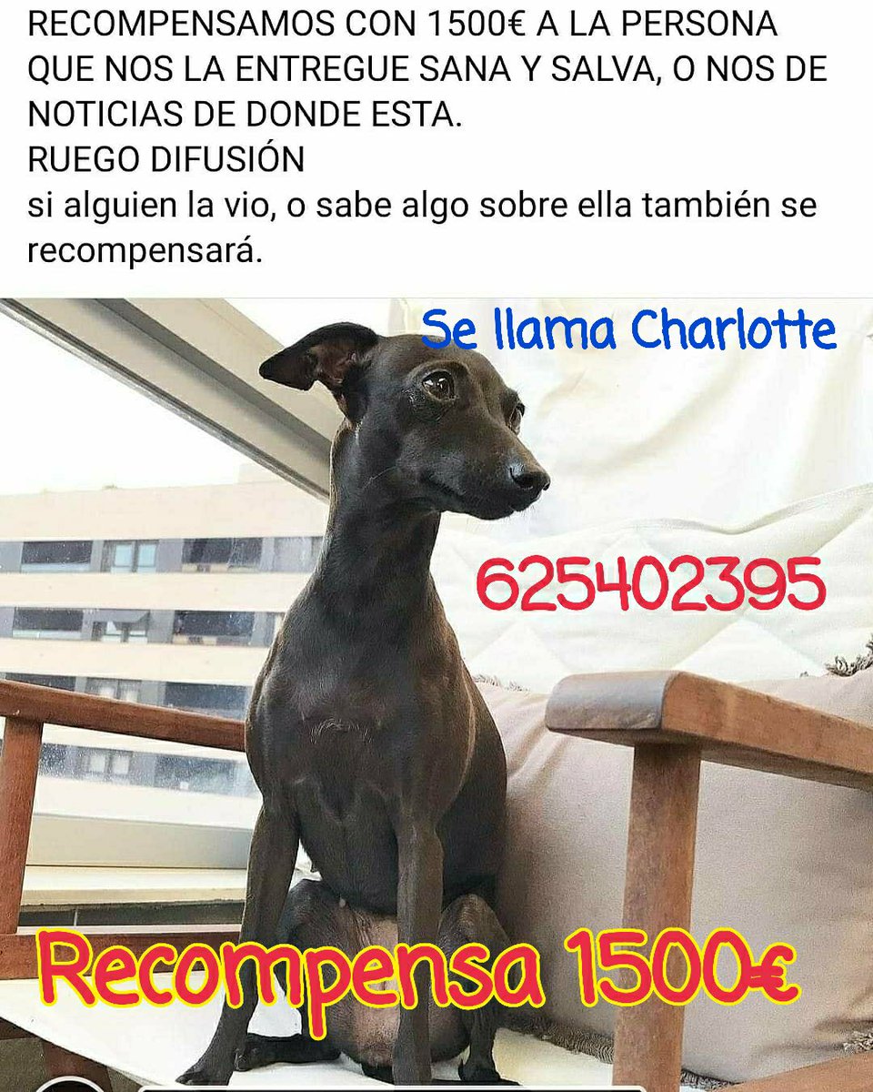 DEVOLVEDAMAX tweet media