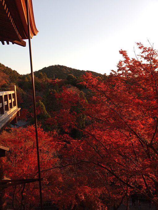 Twitterのコスプレ画像3