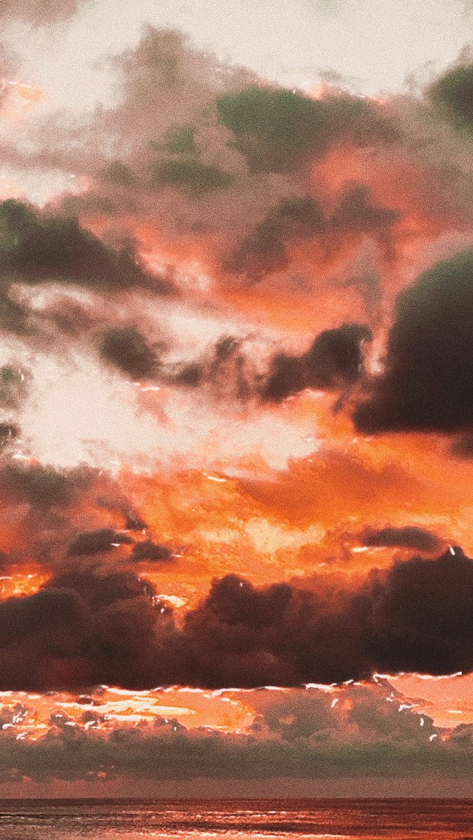 madisonlalayne's tweet photo. https://t.co/wqkoqq2o83