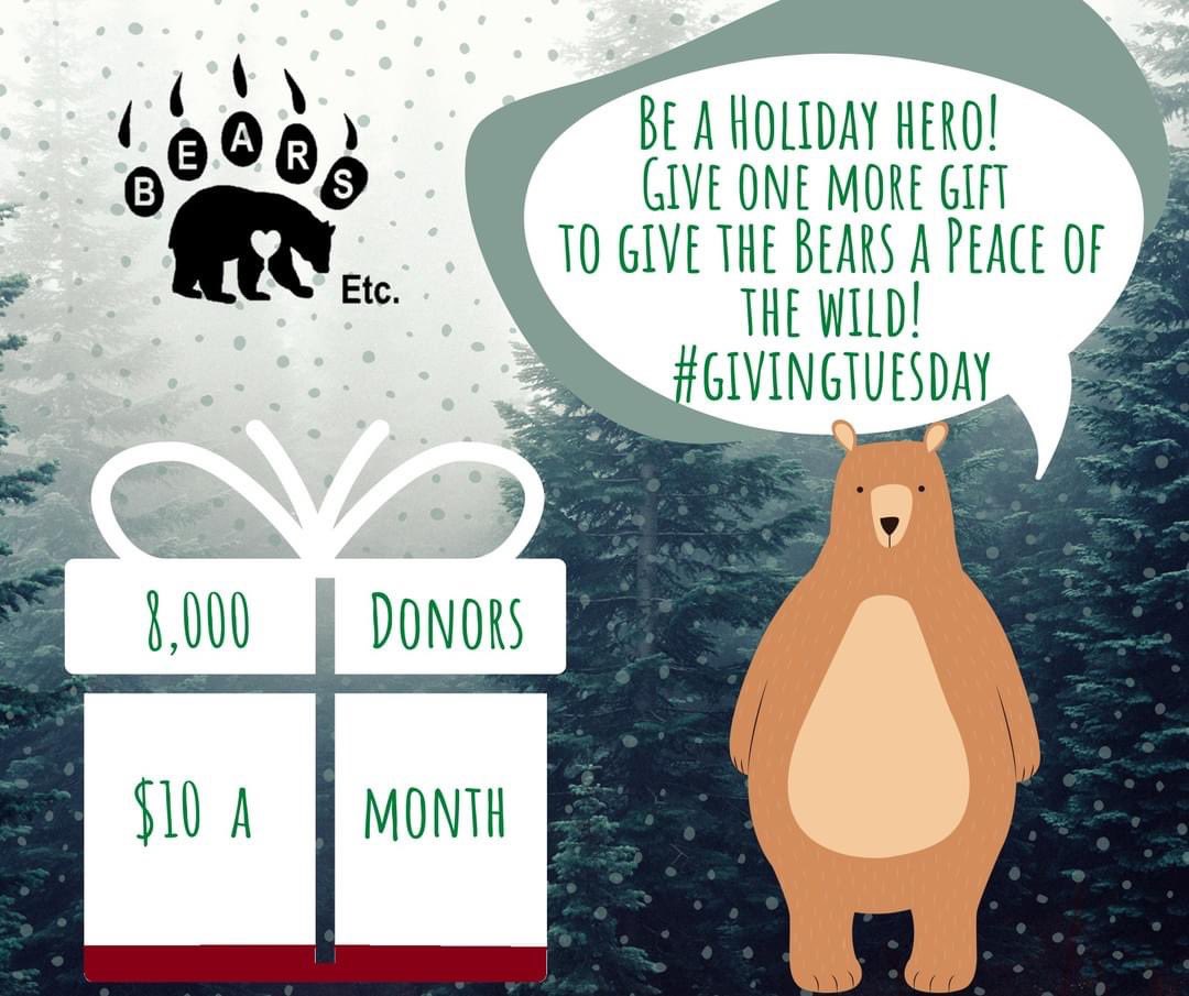 BearsEtcTX's tweet photo. Update! 7,776 more heroes to give #onemoregift of $10 to reach our goal to purchase a larger property for the animals! Fill that Christmas Gift! @CriticalRole @TheEllenShow @BettyMWhite @LeoDiCaprio @LauraBaileyVO #criticalrole #trinket #savethebears https://t.co/ZxzFg3wsTJ