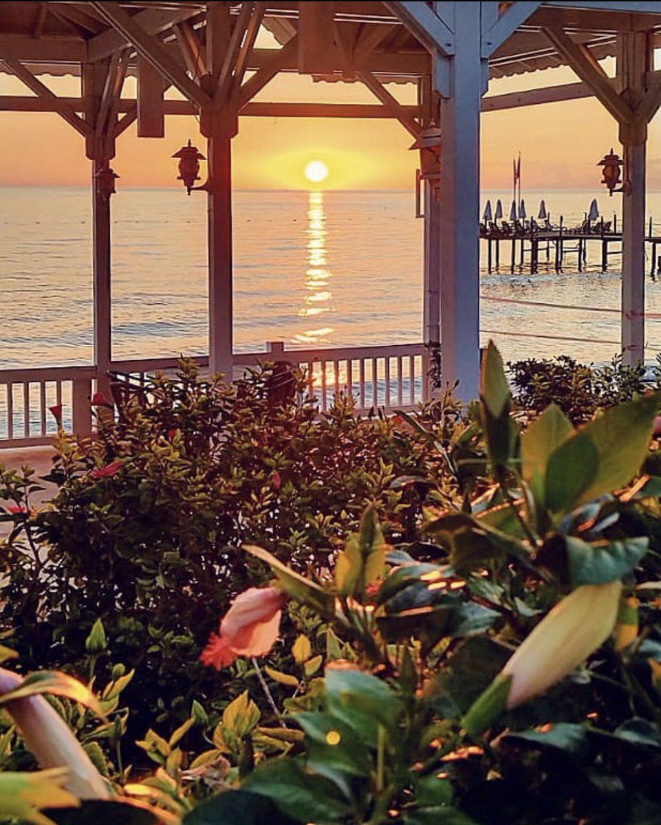 Crystal Hotels tweet media