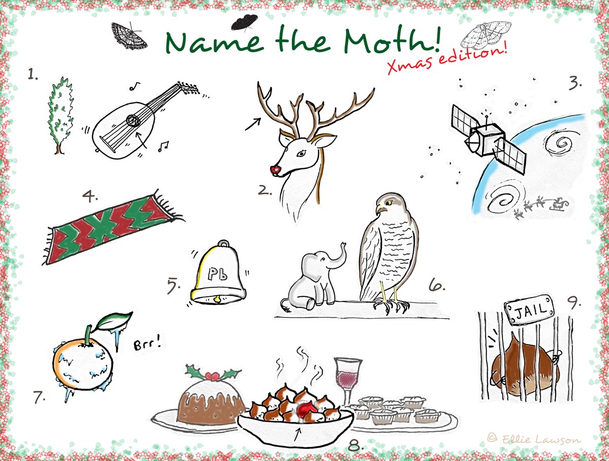 BC Scotland (@bc_scotland) on Twitter photo Christmas moth quiz! Can the name the moth species in each clue?
Clues fabulously drawn by <a href="/elliesonlaw/">Ellie Lawson</a>
Answers will be posted tomorrow.... Enjoy!
<a href="/savebutterflies/">Butterfly Conservation 🦋</a> @BC_SWScotland <a href="/BCeastscotland/">BC East Scotland</a> Christmas moth quiz! Can the name the moth species in each clue?
Clues fabulously drawn by <a href="/elliesonlaw/">Ellie Lawson</a>
Answers will be posted tomorrow.... Enjoy!
<a href="/savebutterflies/">Butterfly Conservation 🦋</a> @BC_SWScotland <a href="/BCeastscotland/">BC East Scotland</a>
