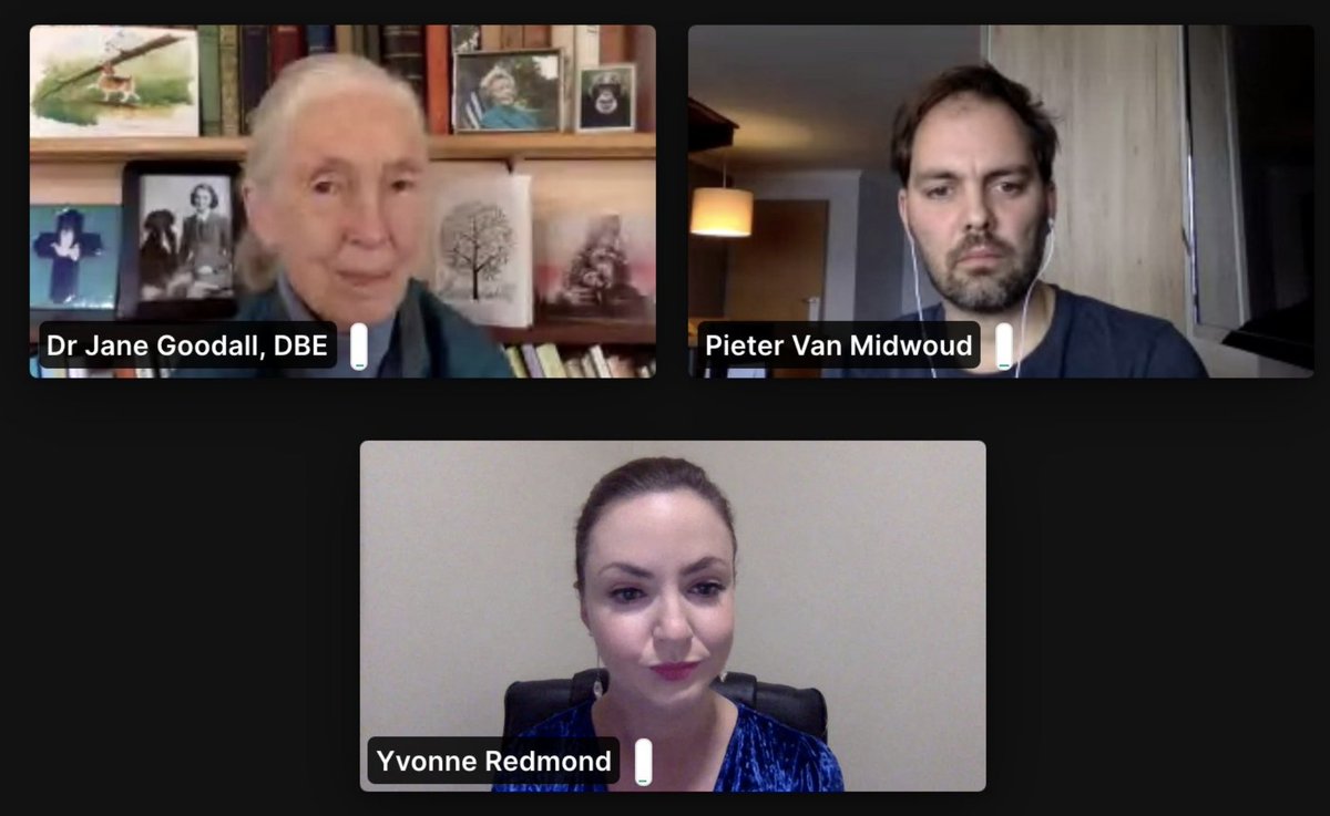 yvonneredmond's tweet image. Had a thoroughly awesome sit-down with @JaneGoodallInst &amp;amp; @Ecosia for @WebSummit , discussing the future of the planet. Their message was serious but hopeful: Yes we can turn things around. But we must all contribute, every day 💌😍 #climatechange #websummit2020