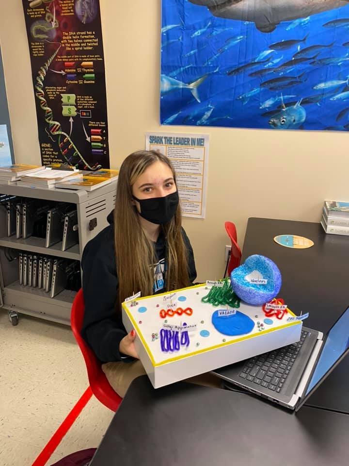WatersetLightn1's tweet photo. Minds stay curious when hands stay busy showing inquiry in action at Waterset Charter! Honors Biology class sharing their 3-D Cell models. @LTMorris_EDU @EddieRuiz531 @Marilor36138965 @drdchristiansen #CSUSAProud #WCSLeads https://t.co/eA1xa5REAy