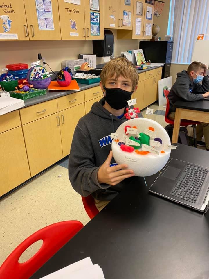 WatersetLightn1's tweet photo. Minds stay curious when hands stay busy showing inquiry in action at Waterset Charter! Honors Biology class sharing their 3-D Cell models. @LTMorris_EDU @EddieRuiz531 @Marilor36138965 @drdchristiansen #CSUSAProud #WCSLeads https://t.co/eA1xa5REAy