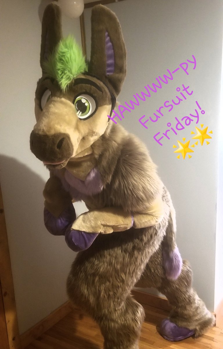 DazeChanged's tweet image. HAWWWW!
It&apos;s #FursuitFriday in the usual #mff2020 season, everyone get suited up and try and make the best of it!