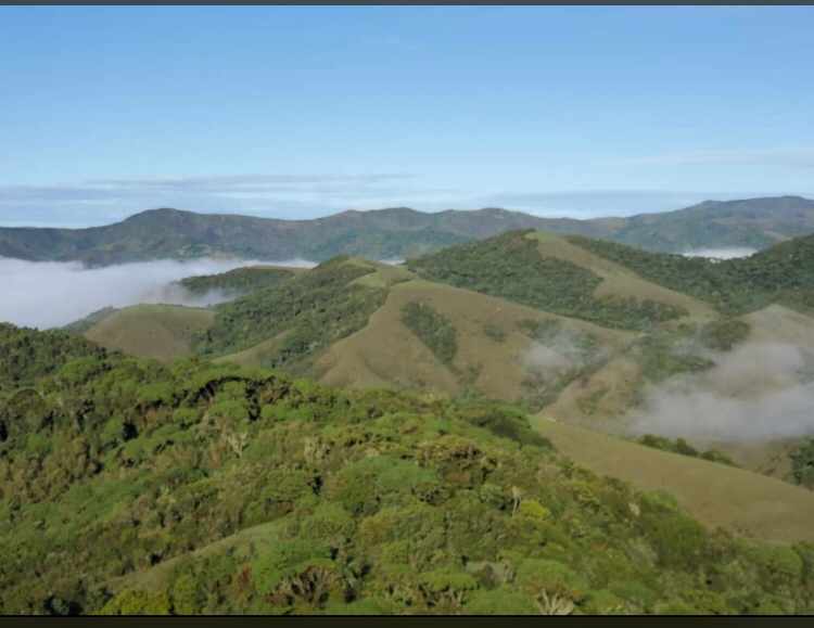 Imaragishika's tweet photo. #Homeland!! Haut Plateau de Minembwe. @KennedyNari @kanezamitt @jbserugo @naomiendagufana @JKanyoni @IntareNku @BitarukeEgide @Musafjanvier https://t.co/9M5R7OSXHQ
