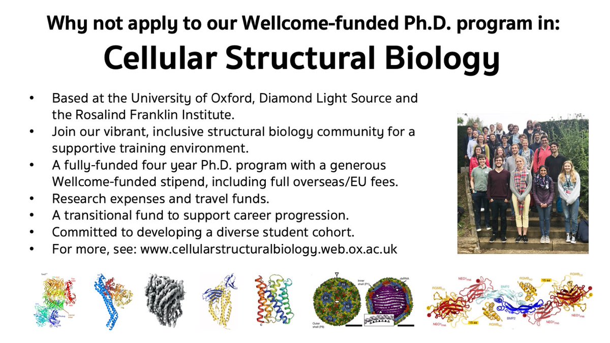 MartinWalshDLS's tweet photo. Lots of brilliant opportunities here if you are thinking about doing a #PhD in structural biology across a range of length and resolution scales! - @DiamondLightSou @RosFrankInst #crystallography #cryoEM #biosaxs #bioimaging @instructhub @iNEXT_Discovery @OxfordStrubi https://t.co/o7pQmboW1O