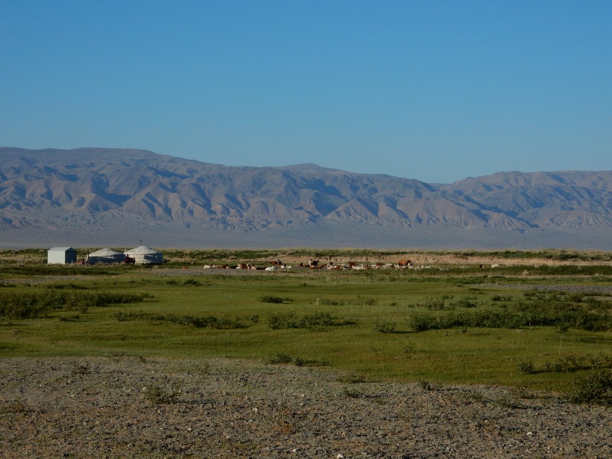 8/ Other faults in the region may also cause major, M7 earthquakes and the fault system of the Gobi Altai is larger than we thought. Luckily, southern Mongolia is not densely populated, and the nomadic culture and infrastructure lowers the possible risk for the local population.