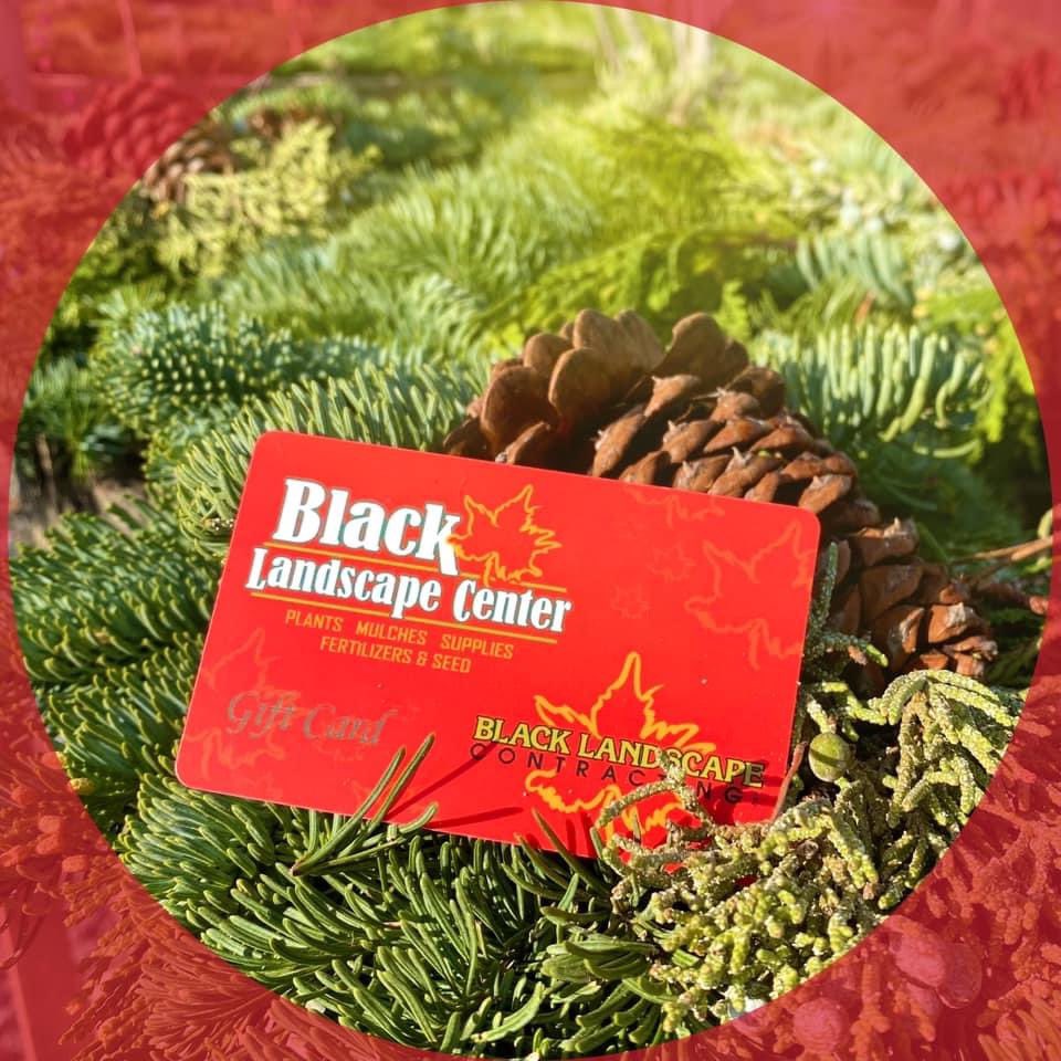 blacklandscape's tweet photo. Gift cards can be used for anything in our Landscape Center, as well as for contracting services!! https://t.co/lNcefGDZmq