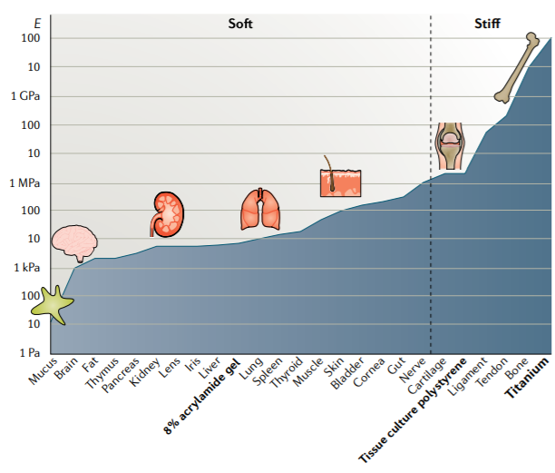 NatRevMaterials tweet media