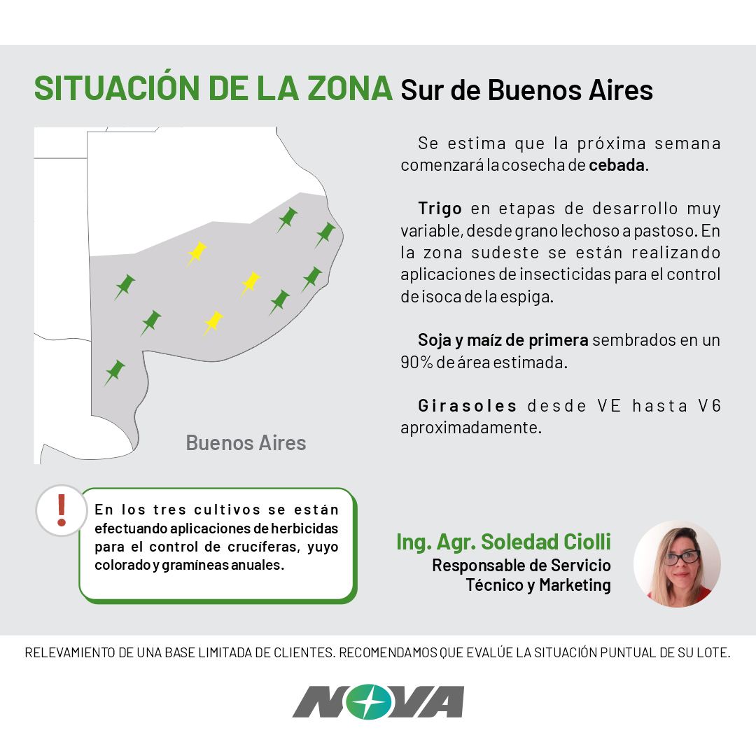 LaboratNOVA's tweet photo. ⚠️¿Que está pasando en algunas zonas del país?
Conocé cómo están actualmente estas zonas y qué medidas se están tomando🌱🔍

Informes completos en: https://t.co/v0mH6UTZDu

#ContenidosNOVA #InformesTécnicosNOVA #InformesTécnicos #CoadyuvantesNOVA #HerbicidasNOVA #InsecticidasNOVA https://t.co/3PEVwCa1N2