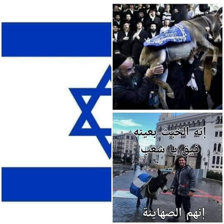 شاب يسوق الحمار " ليس بمغفل او مجنون فهو مأجور قابض للثمن في مهمة إستحمار وإغفال الشباب عن مصير  الوطن ..
تربح
💪🇩🇿🐈⚔️