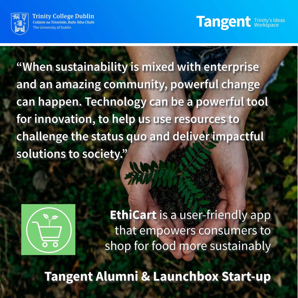 Portal - Trinity Innovation and Enterprise tweet media