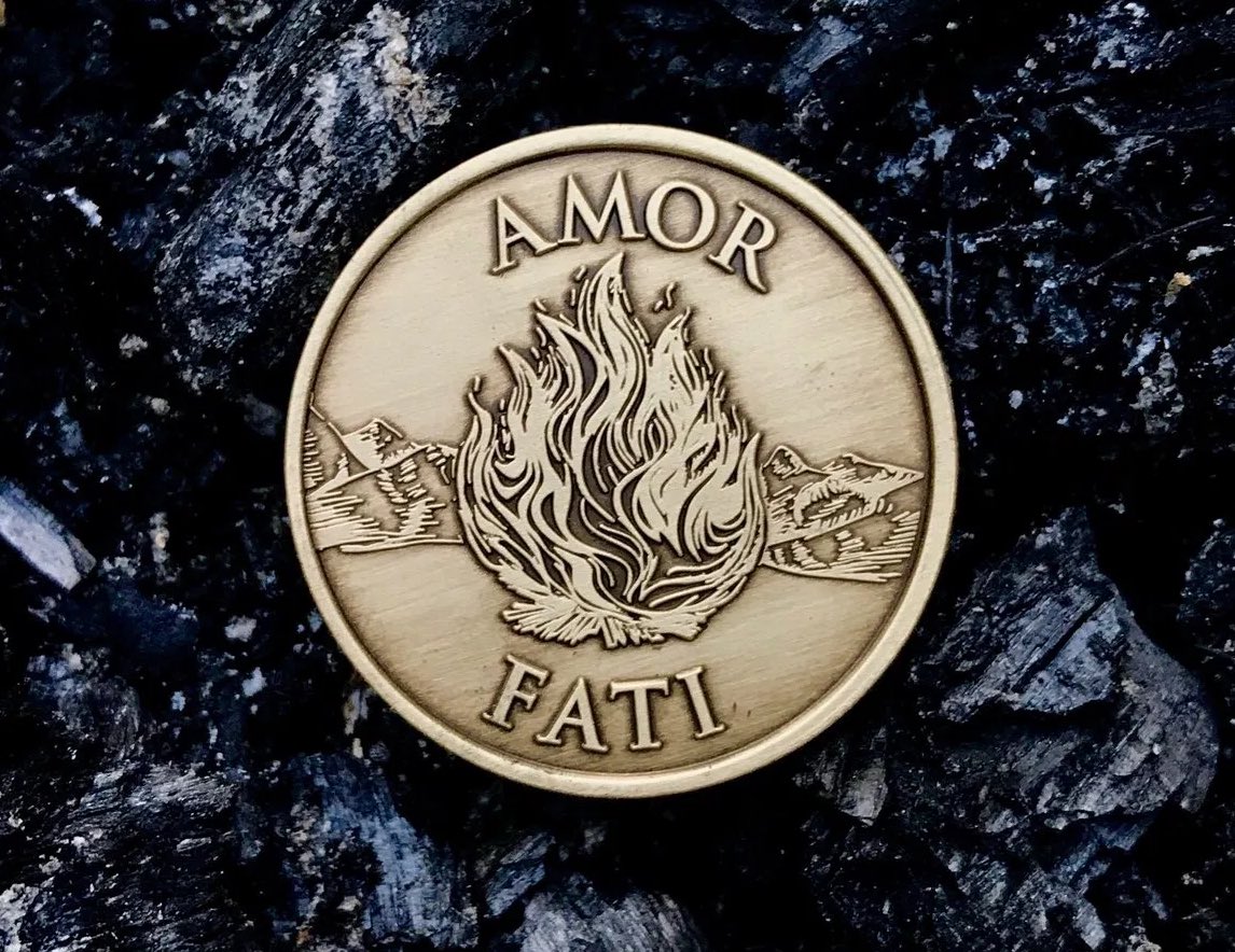 "To do great things, we need to be able to endure tragedy and setbacks”"We've got to love what we do and all that it entails, good and bad.”-  @RyanHoliday We become better through adversity.