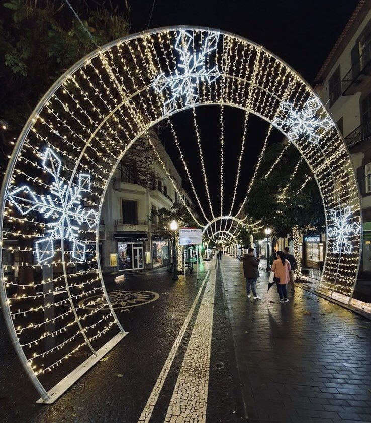 🎄Lights On - Madeira