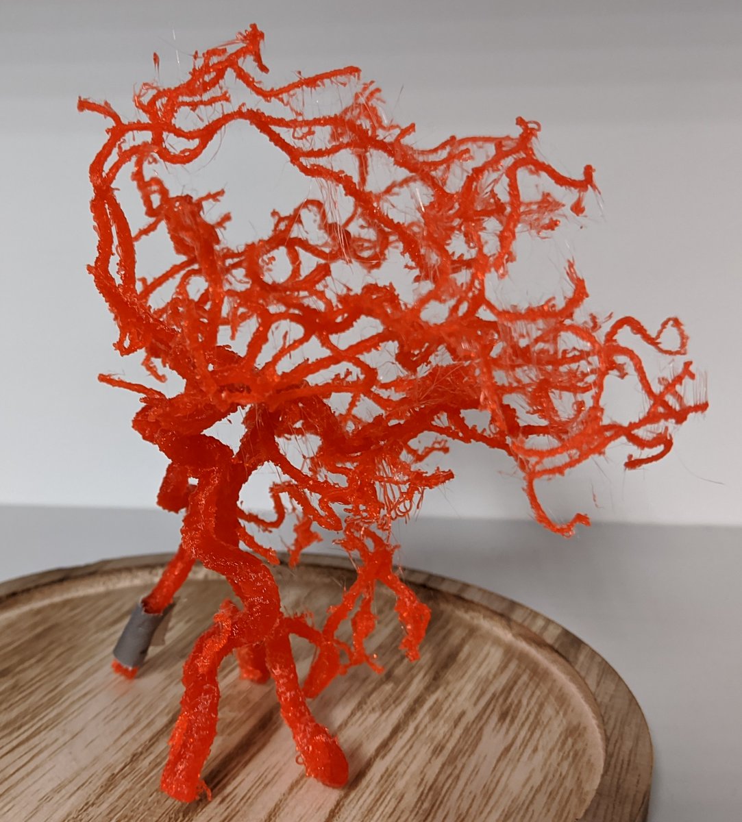 unimedizinhalle's tweet photo. Dr. Ole Hensel (Foto) @unimedhal hatte die Idee einer Sammlung von neuroanatomischen #3D-Modellen, z.B. für die #Ausbildung von angehenden Ärztinnen &amp; Ärzten. Das Projekt wurde vom Institut für #Informatik &amp; #Fraunhofer-Institut #IMWS unterstützt.

Mehr: https://t.co/RKrgsqMthS https://t.co/QZXL0RaM7J