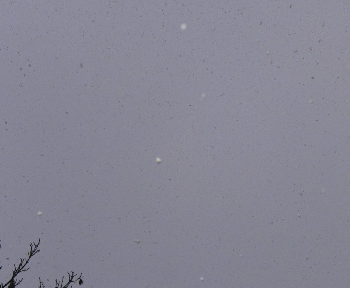 It's back - first of the season - SNOW!