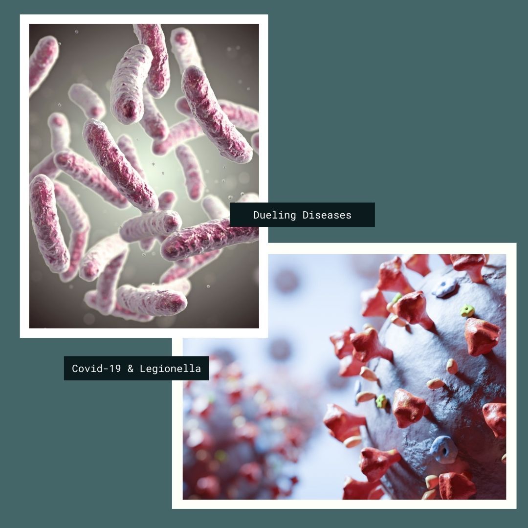 iwc_innovations's tweet photo. As we turn the corner in preparation for the new year, this is one very important pair that we must pay attention to: COVID-19 and Legionnaires’ Disease. 

Read more about these dueling diseases and how you can protect yourself in our latest blog post: https://t.co/1aSSDxl63s https://t.co/gIRWf6crN4