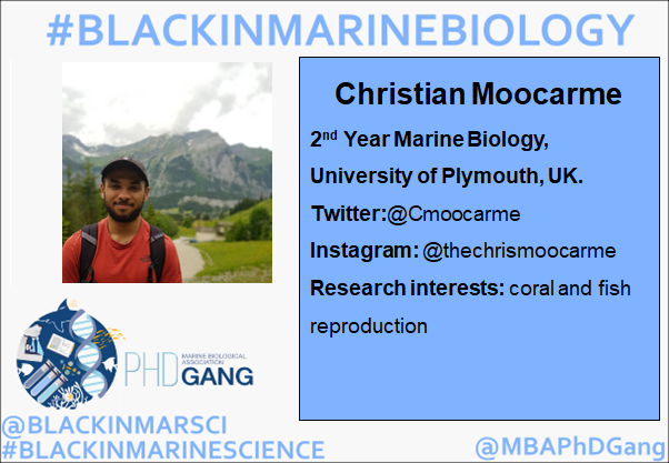 MBAPhDGang's tweet photo. #BlackInMarineBiology Profile @CMoocarme is a 2nd year student at @PlymUni studying #MarineBiology. His interests are around coral and fish reproduction. #BlackInMarineScienceWeek #BlackinMarineScience #coral #fishreproduction @BlackinMarSci 🐟🐡🐠🌊 @MBERC_PlymUni @thembauk https://t.co/RC56UaYhv2