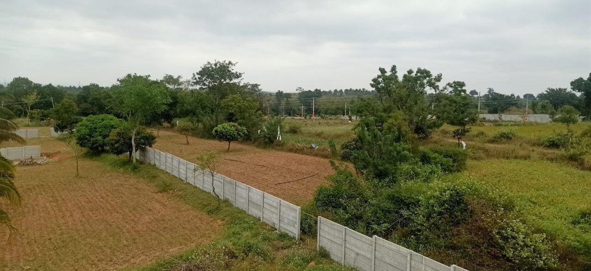 YeshDevelopers's tweet image. Book your plots now with sophisticated amenities at Yesh Serenity.

Call 9742727000 or Visit yesh.in for more info.

#mysore #plots #villas #bangalore #yeshdevelopers