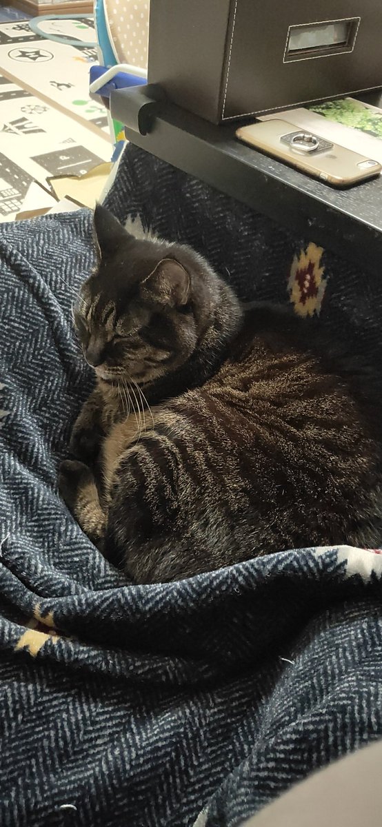 そばにずっといる猫さん(ΦωΦ)
満足そうだにゃ〜🐈