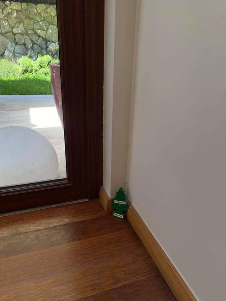 ecoinputCL's tweet photo. Estamos listo con el árbol de navidad 🎄 
#BuenViernes #BuenFinde #MarketingDigital #App #agenciaDigital https://t.co/s7bzQ4nqyJ