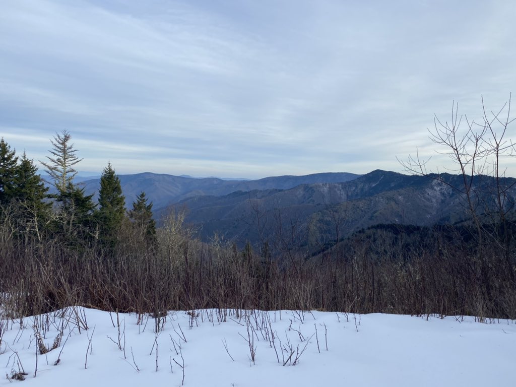 Rob Johnson tweet media