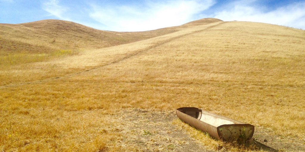 A small, dry water trough sits rusting in a dry grassland landscape of rolling hills and blue skies.
