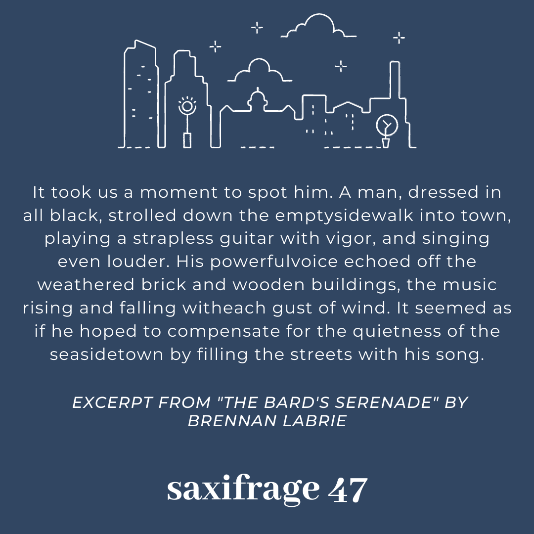 SaxifrageU's tweet photo. Excerpt from "The Bard's Serenade" by Brennan LaBrie, and "Pause" by Lisa Ha https://t.co/w8eZUPxYKA