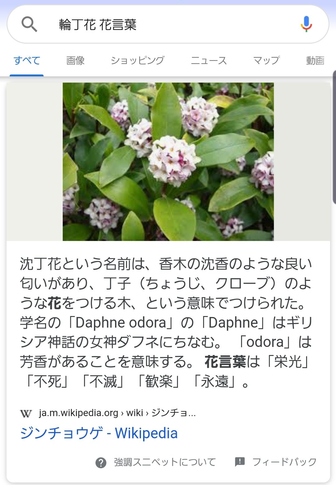まばゆい ｷｽﾞﾅｧ聴いて 輪丁花って沈丁花の別名じゃなかったかしらも思って調べたらこの花言葉 だったので頭を抱えた 実を結んでくれ輪丁花 T Co Cxazzrpkdz Twitter