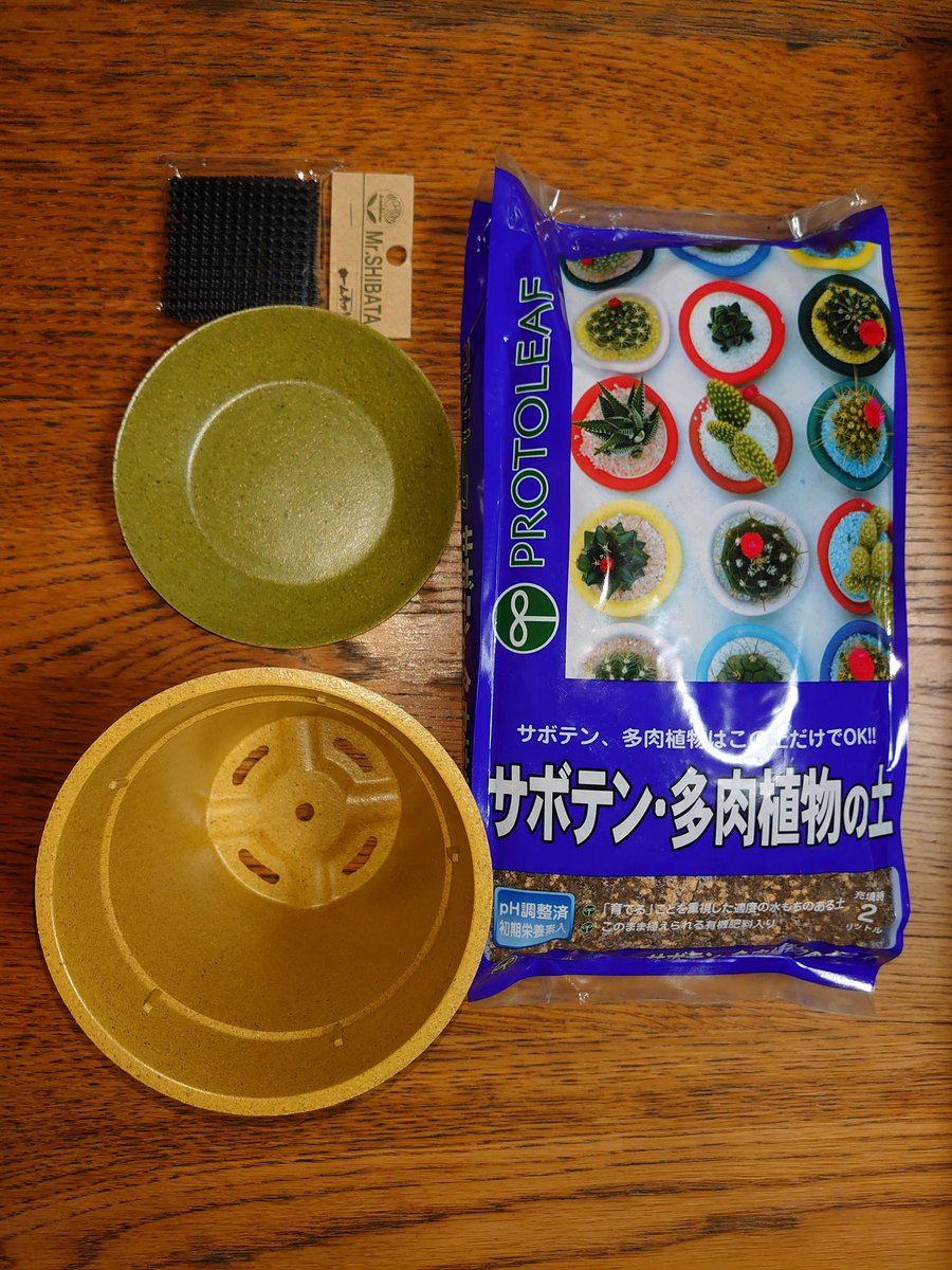 シャムの舞姫 乾燥に弱いので パックや袋 水槽などで覆ってあげると湿度が保てて調子が良いです アンプラリアは 低温に弱いので暖かくして下さい 私は Cherryradishplants のスタッフです ご連絡頂けたら もっと細かな説明出来ると思うので 宜しく シャムの舞姫 乾燥に弱いので パックや袋 水槽などで覆ってあげると湿度が保てて調子が良いです アンプラリアは 低温に弱いので暖かくして下さい 私は Cherryradishplants のスタッフです ご連絡頂けたら もっと細かな説明出来ると思うので 宜しく