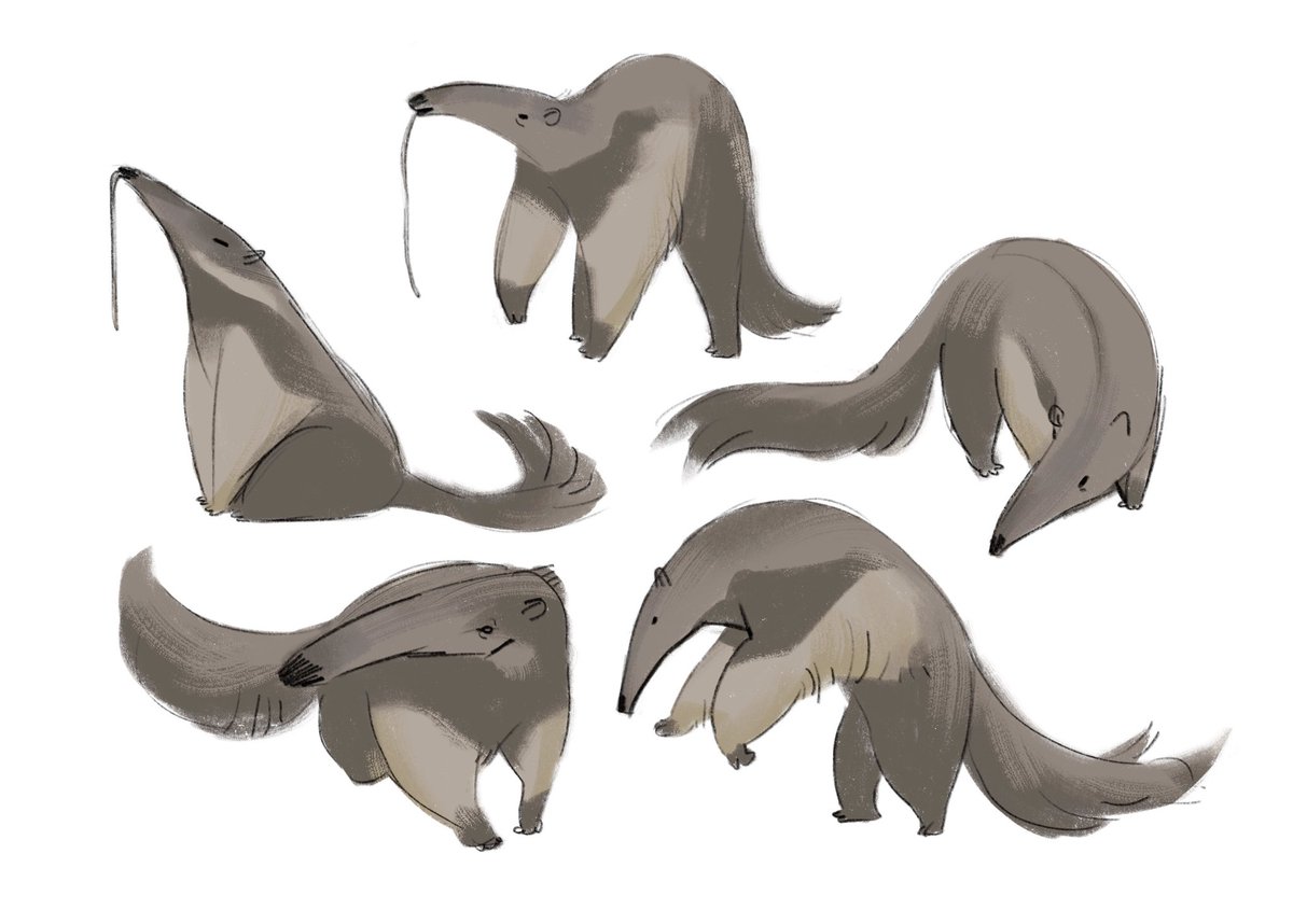 fascinated by these creatures