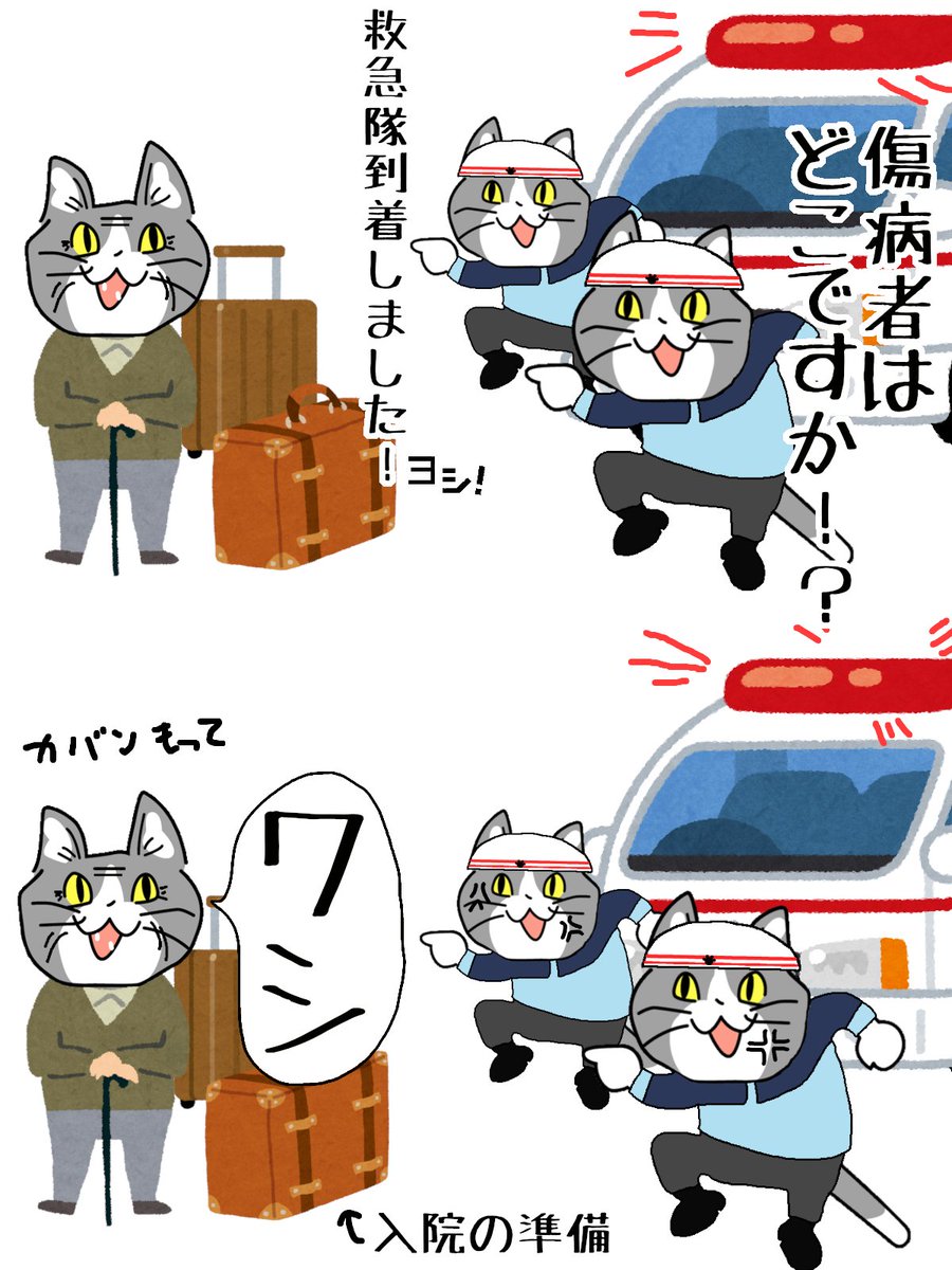 #現場猫 #看護師 #救急隊員
救急救命処置録は魔窟。 