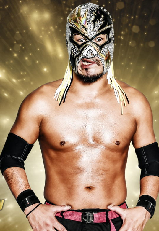 Mondai Ryu- PROBLEM DRAGON (literal translation)- or monchan- his problem is he has too much salt tbh- expressive masked guy- how to announce his name:- "mondai ryu, MONDAI RYUUUU"- one time his theme was just chorus of boos- has plushies hanging on his mask sometimes