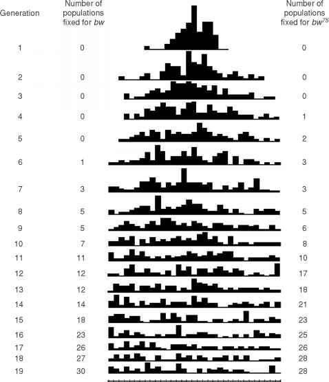 Post a picture of your pet and what it is named after: