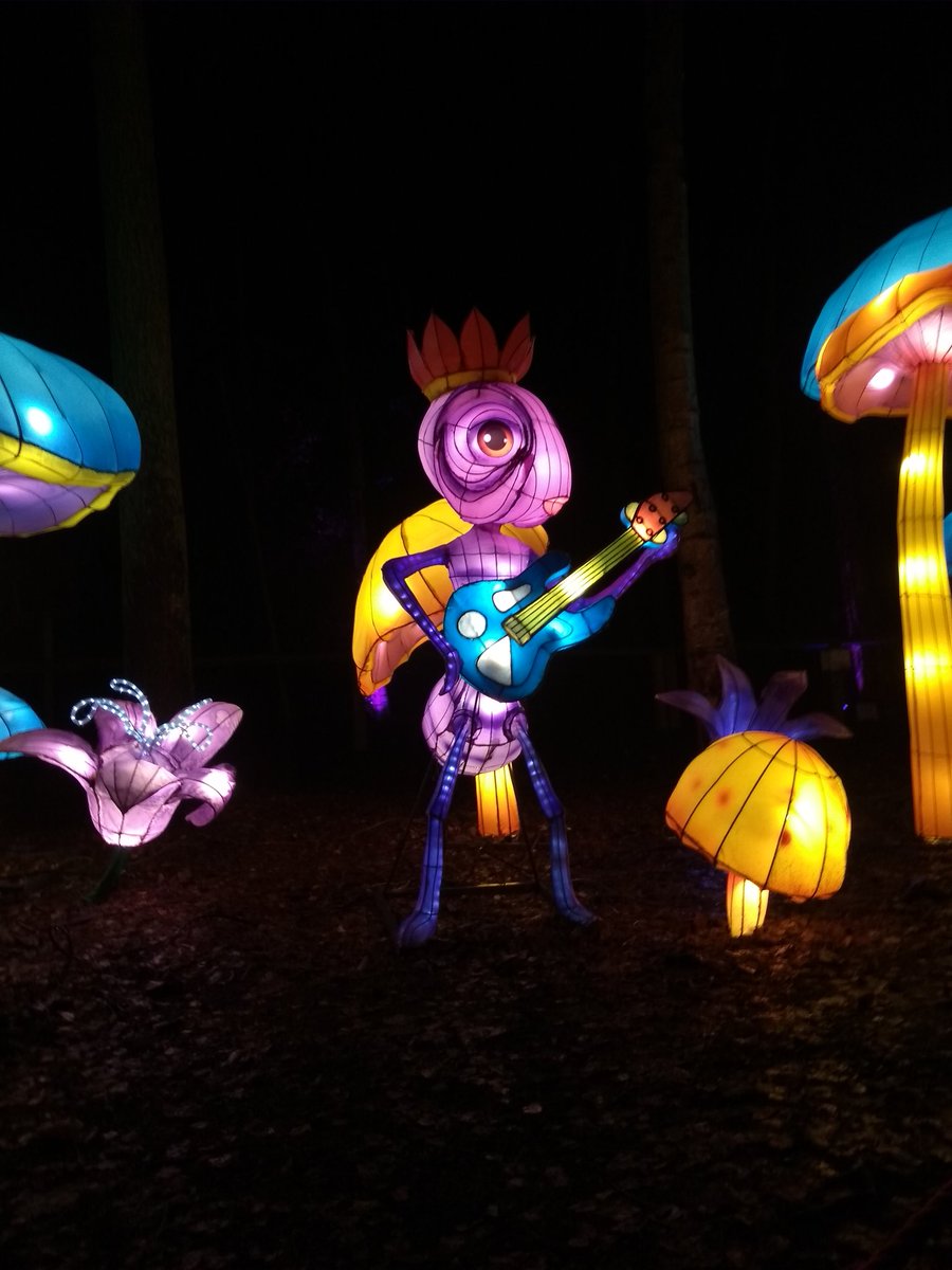 Dan (@danslowley) on Twitter photo #Christmas illuminations at <a href="/YorkshireWP/">Yorkshire Wildlife Park 🦁</a> a treat for the kids tonight. #ThankYou #Christmas illuminations at <a href="/YorkshireWP/">Yorkshire Wildlife Park 🦁</a> a treat for the kids tonight. #ThankYou