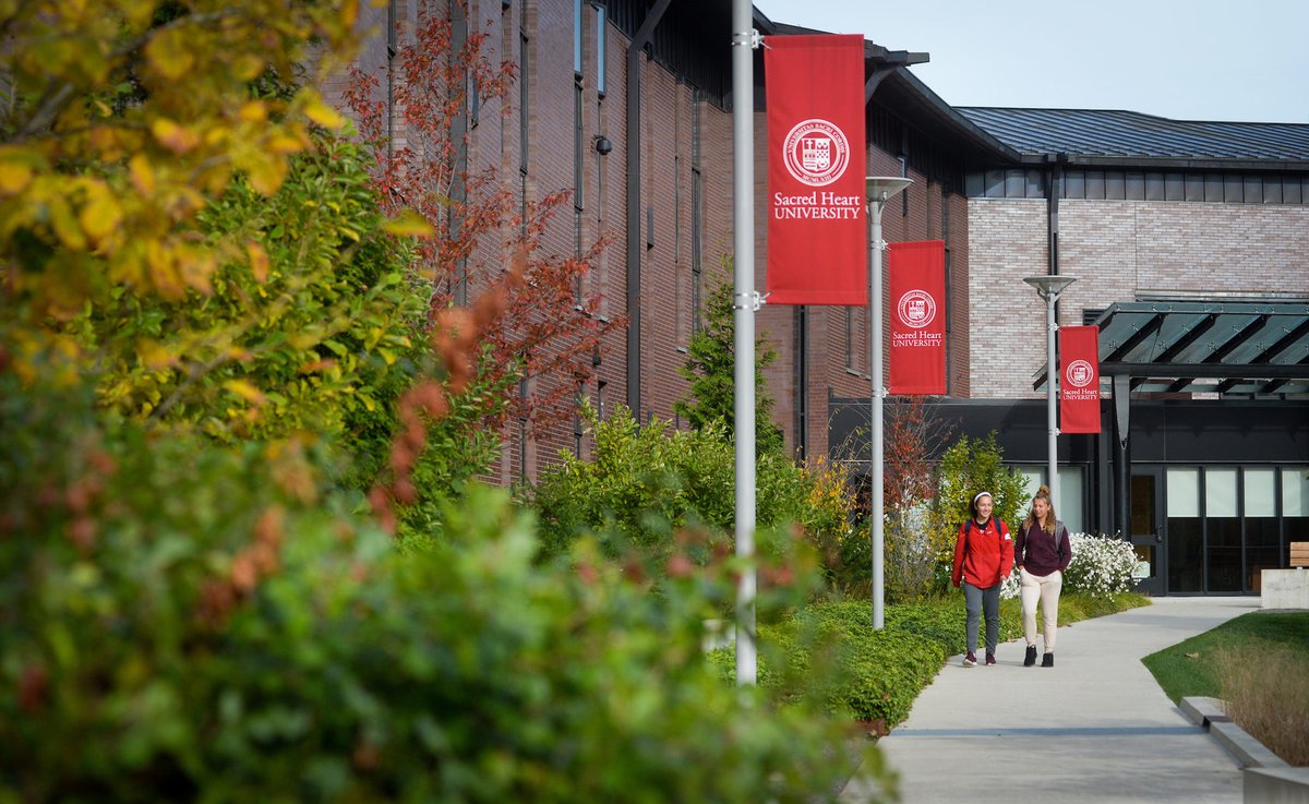 Techstars Startup Week tweet media