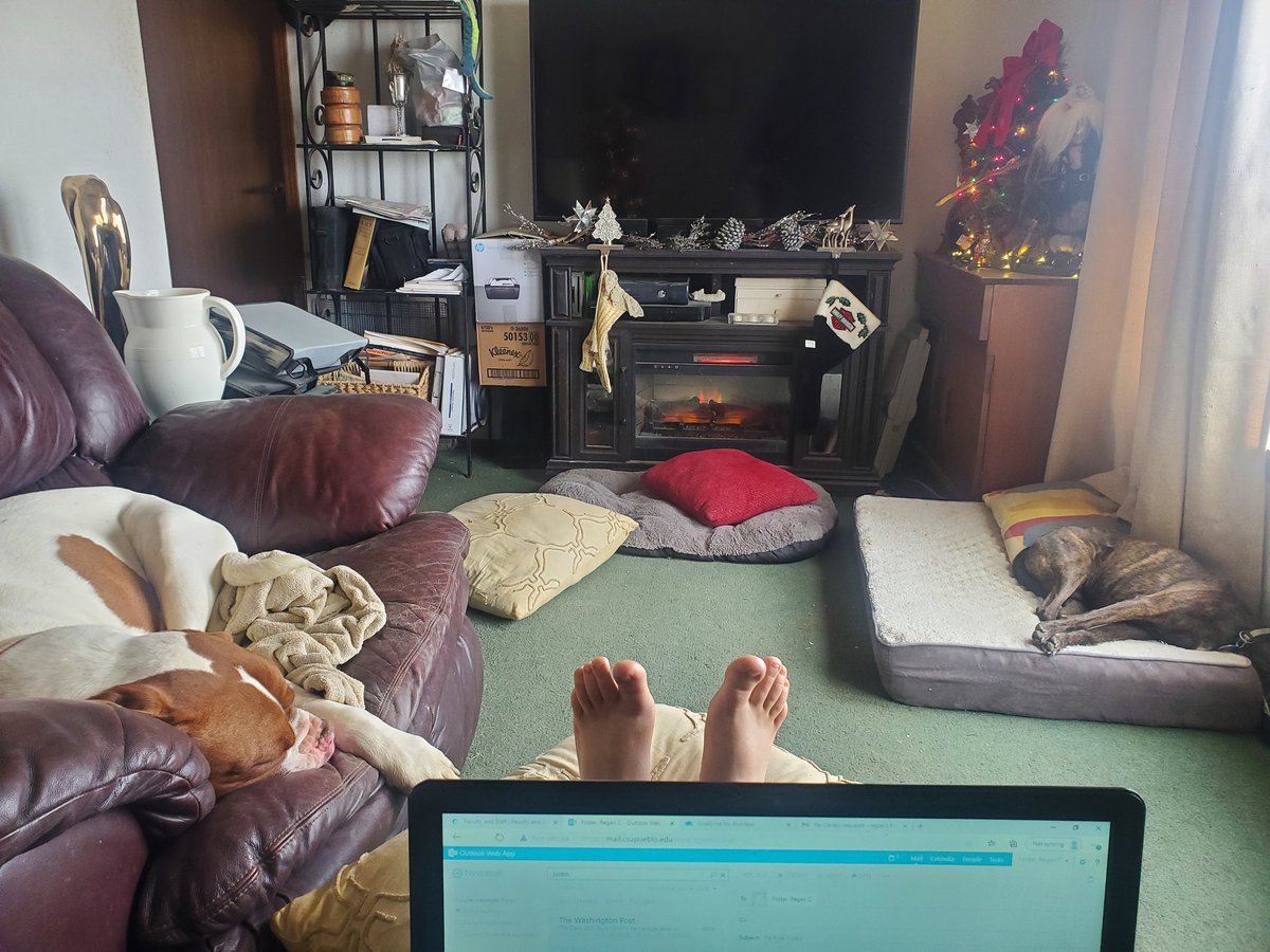 Regan_C_Foster's tweet photo. I'm grading final projects today; meanwhile, my teaching assistants are sleeping on the job.
.
.
#pandemicacademic #adjunctprofessor #journalismprofessor #adjunctlife #workingfromhome #telecommuting #doingmypartco https://t.co/s7OzPWFe4J