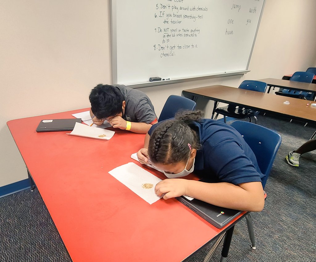 DallasParkElem1's tweet image. Watching 👀 Mrs. Millen&apos;s 4th grade scientists observe properties of soil. 

Great hands on learning!
#CISDScienceRocks
