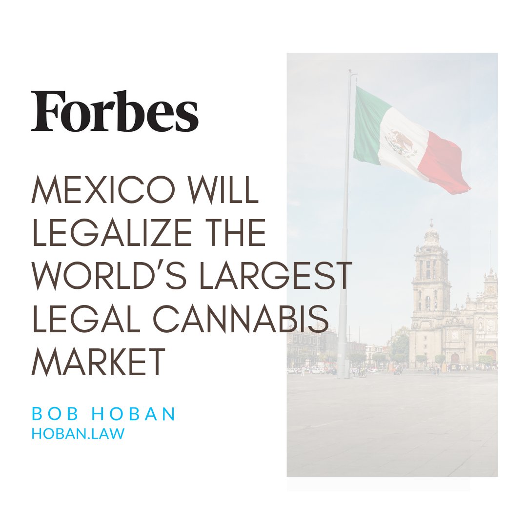 With Mexico's imminent federal legalization of cannabis, the country will boast the largest consumer market for cannabis in the world — an enormous leap forward for the global cannabis industry. Read more: hubs.li/H0CtyMp0 #cannabis #globalcannabis #mexicocannabis