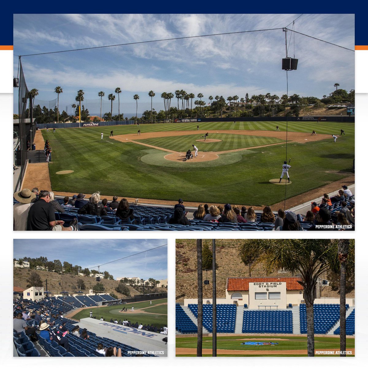 College Baseball Hub tweet media