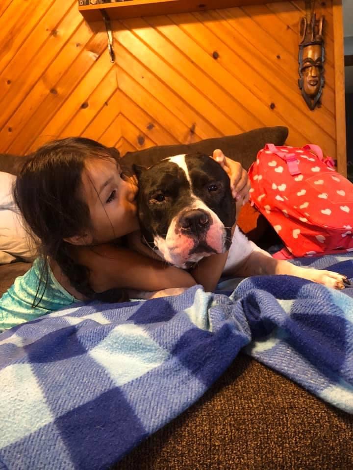 We love updates and here's #CourtCaseDog Rerun/Ellis nka Thor! He’s 94lbs of complete love including all people but  especially his human sister. Thanks @Playersforpits for taking him under your wing.  #HumanAnimalBond  #PittieLove https://t.co/xbcuLpZ4eJ