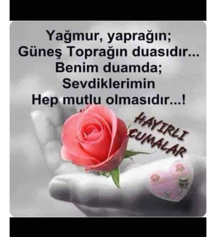 MuzafferCol's tweet photo. @dul_naciye https://t.co/T1V7olGJYt