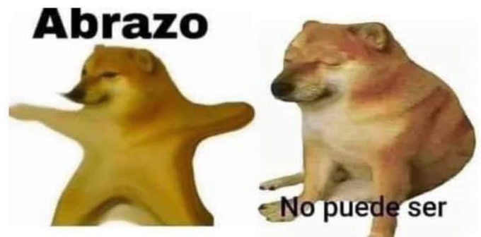 elcosodelapizza's tweet photo. Yo cada 15 segundos con mi perro / Mi perro https://t.co/wxxdF8mHQv