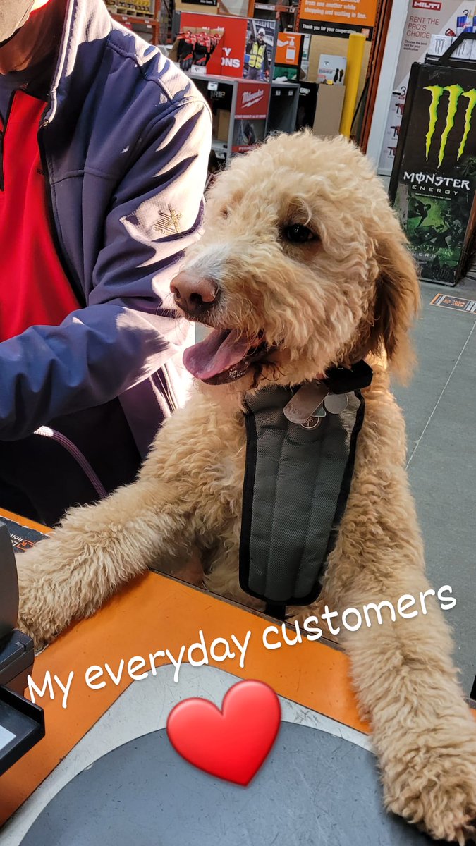 05Adonys's tweet photo. My everyday customers
At #thd2566 #HomeDepot
# https://t.co/O6ze8YAqUQ