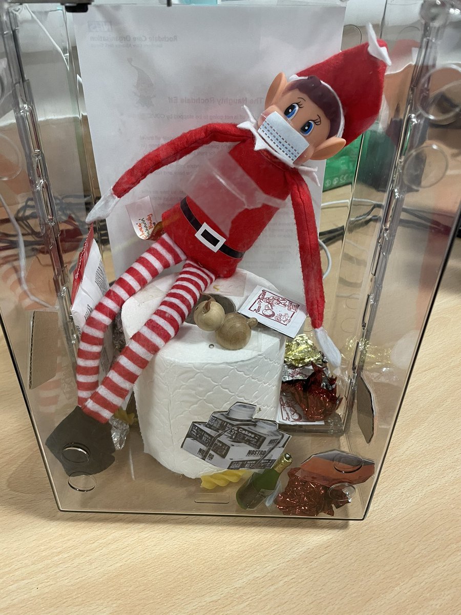 tracybubbles80's tweet photo. The NCA Naughty Elf is on his travels with the fab HMR Rapid Response Team.... Where will he go.... he is strapped in the car and ready for his journey.... tale to be continued...... #naughtyelf #elf #NCAfamily #festivefun @RochdaleCO_NHS @NCAlliance_NHS @zephcurwen @VickT75 https://t.co/ub1jALnjJi