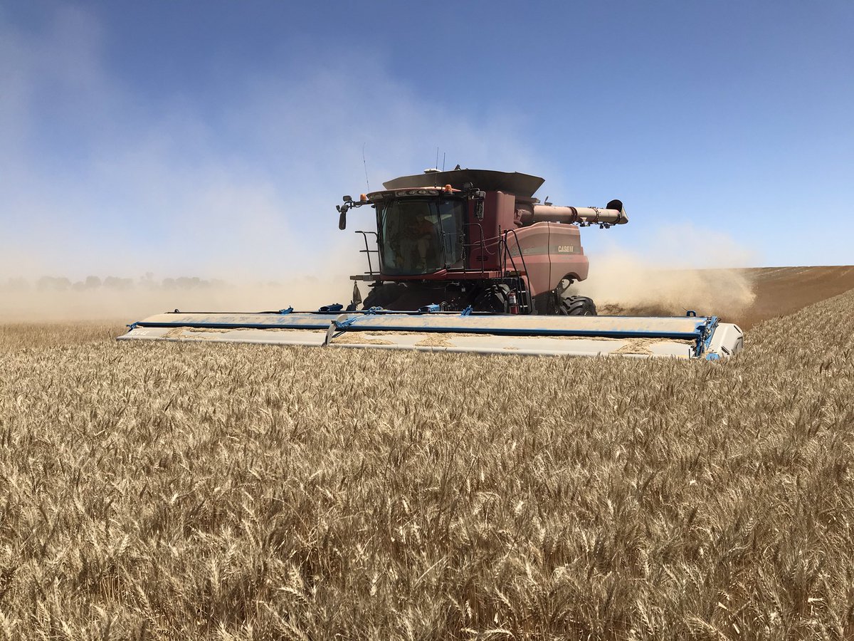 Grassroots Agronomy tweet media