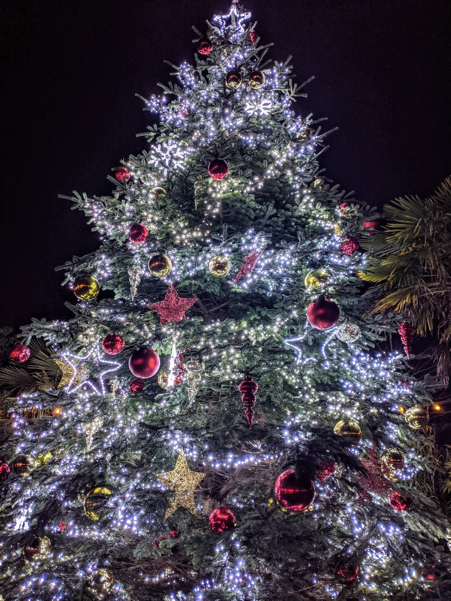 dannihinchy's tweet photo. It was wonderful to be back at @chesterzoo this evening, the fourth zoo we've visited this year & supported during what has been a tough year #SupportZoos #ConservationMatters @Zac_Hinchcliffe #ChristmasIsComing https://t.co/c2swvr7apz