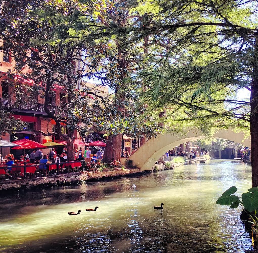 eBionic's tweet photo. A new tenure-track / tenured position is open @UTSA in human performance, w/expertise in research in #AI &amp; data science related to human health, sports or fitness. Apply by 1/8. #PublicHealth #Engineering
Info: https://t.co/9dtfsZv53q
Gold Star Initiative: https://t.co/clyd6Ms8hW https://t.co/VEplu2qKXC